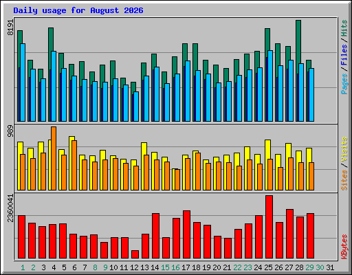 Daily usage for August 2026