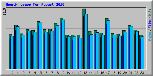 Hourly usage for August 2016