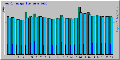 Hourly usage for June 2025