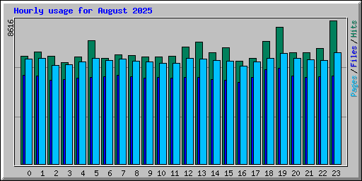 Hourly usage for August 2025