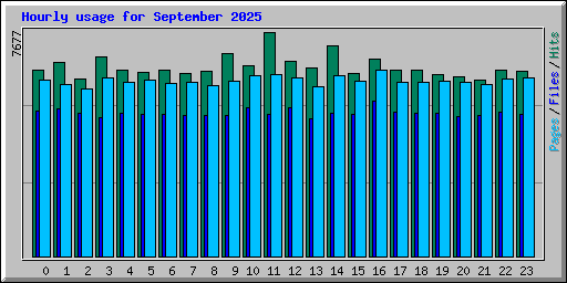 Hourly usage for September 2025