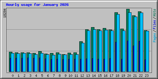Hourly usage for January 2026