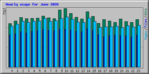 Hourly usage for June 2026