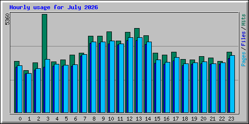 Hourly usage for July 2026