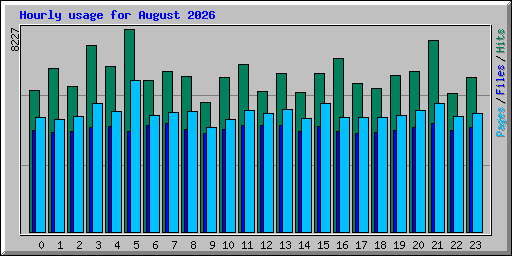 Hourly usage for August 2026